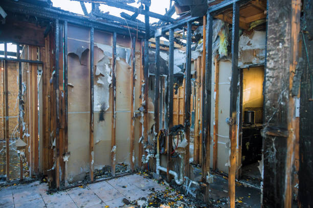 Professional Fire Damage Removal technician working in Kentucky, KY